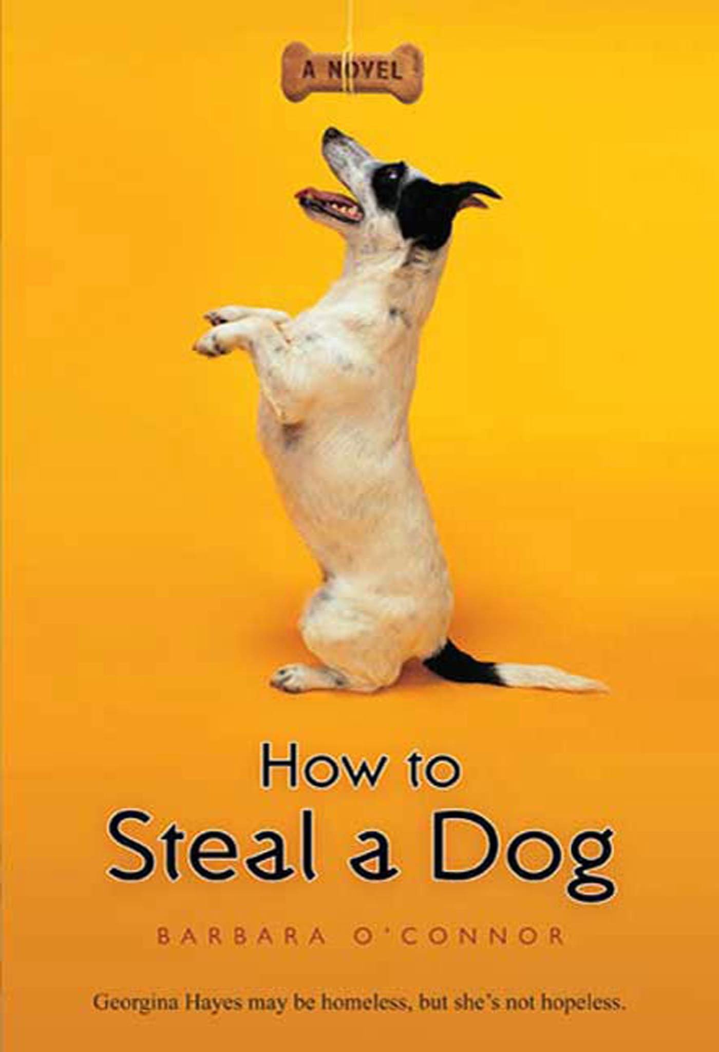 How to steal a dog