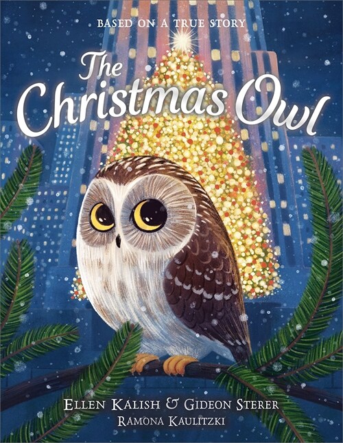 The Christmas Owl | Soarkidz